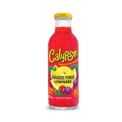 Calypso Paradise Punch 473ml (Preis inkl. Pfand)